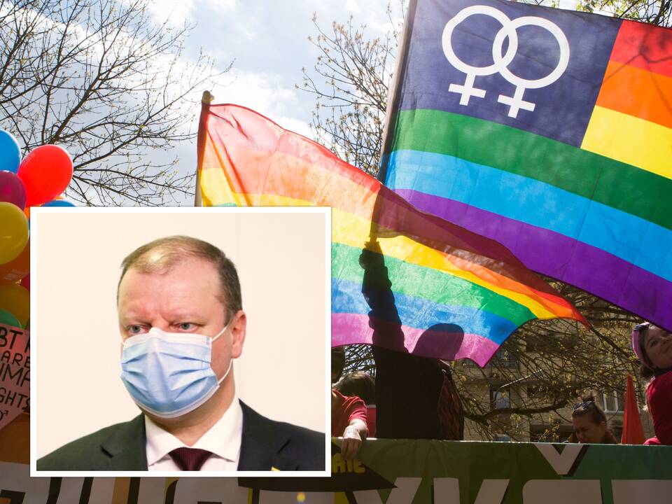 S. Skvernelis apie Partnerystės įstatymą: taip ir sakykit, galima vienalyčių asmenų santuoka