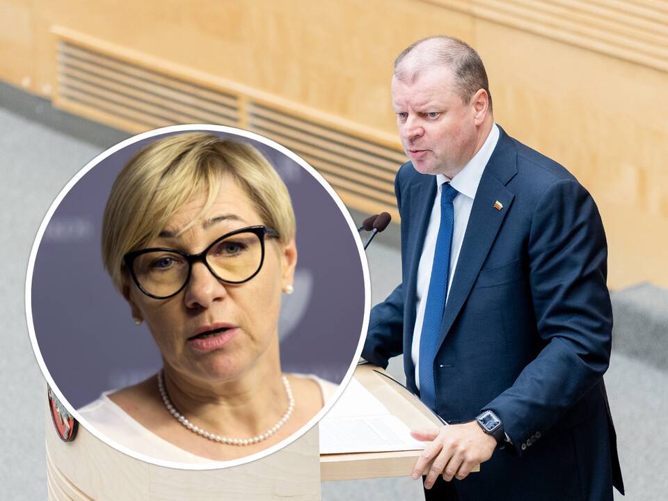 S. Skvernelis: opozicija prašys ministrės atsakyti į klausimus dėl tarybos išmokų