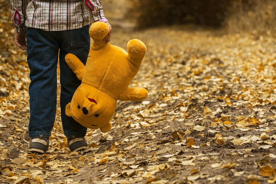Psichologams už valandą vaikų apklausose bus mokama 13 eurų