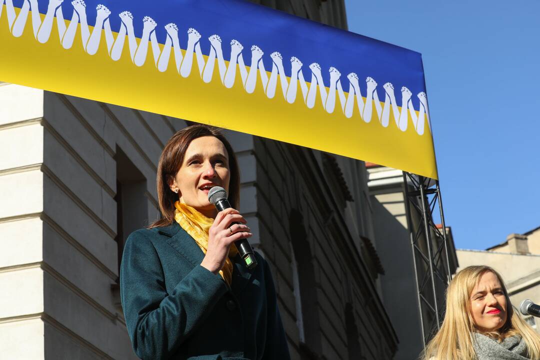 Seimo pirmininkės visuomeniniu padėjėju tapo ukrainietis iš Visagino
