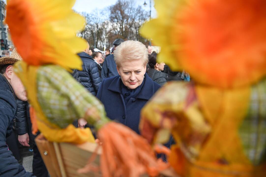 Prezidentė Kaziuko mugėje susiviliojo riestainiais