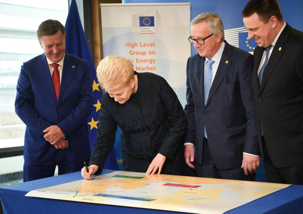 Baltijos šalys sutarė dėl elektros tinklų sinchronizacijos