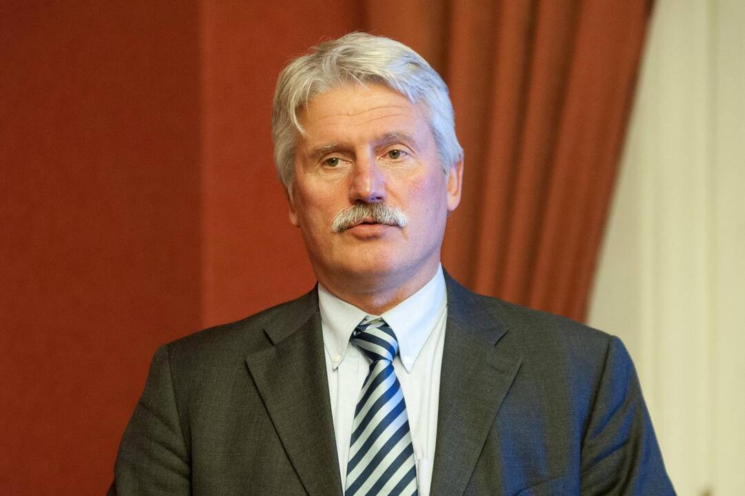 E. Aleksandravičius apie ginčus dėl paminklų: iš kur tiek kvailybės ir beprotybės