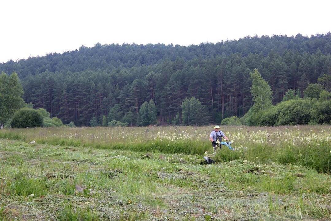 Rodo pavyzdį: 7 metus savanoriškai tvarko valstybinę pievą