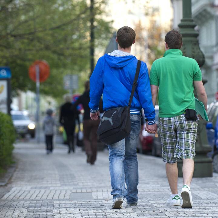 Partnerystės įteisinimas Seime įplieskė ginčus