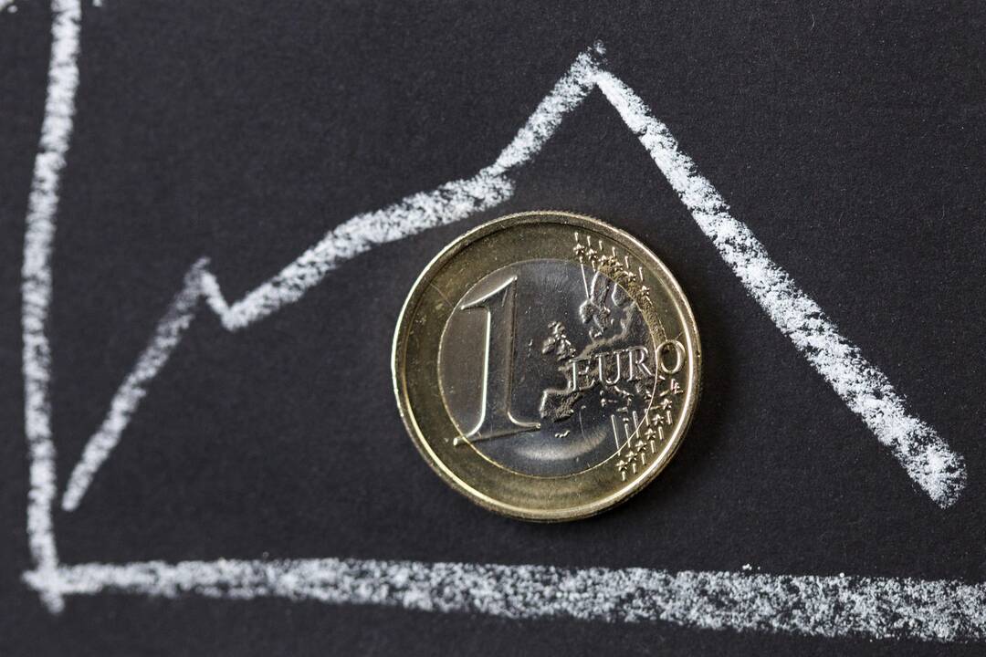Vyriausybė svarsto, kaip įgyvendinti EBPO rekomendacijas