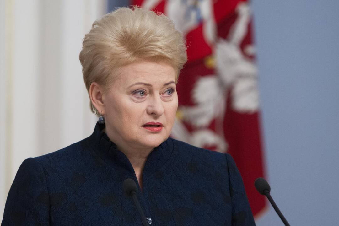 D. Grybauskaitė vetavo Civilinio kodekso pataisas dėl viešų asmenų įžeidimo