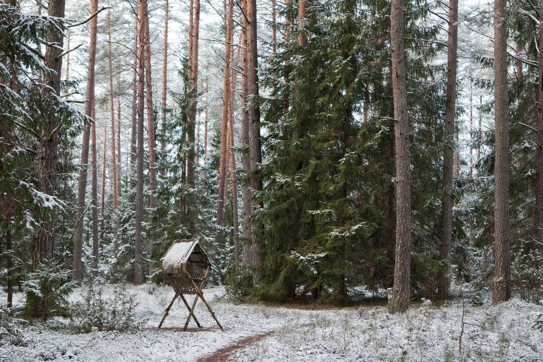 Analitikai: pertvarkyti urėdijas reikia per dvejus metus