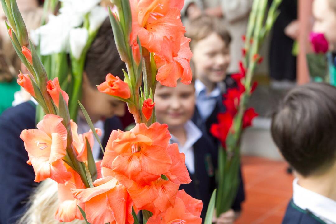 Savanoriai vienijasi akcijai „Būk pirmūnas“