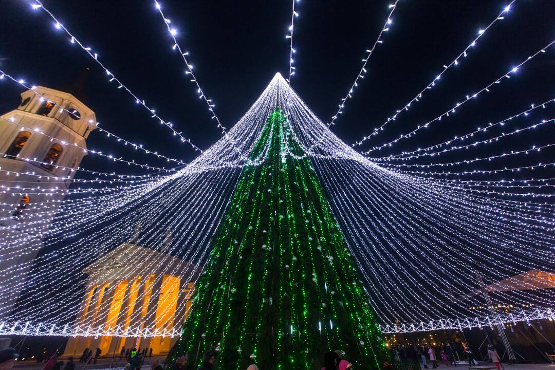 Vilniaus Katedros aikštėje nušvis Kalėdų eglė