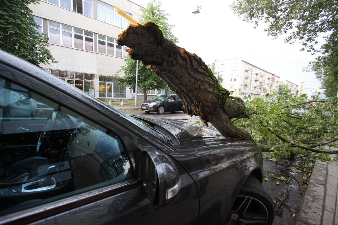 Audringa vasara lietuviams pridarė nemažai nuostolių