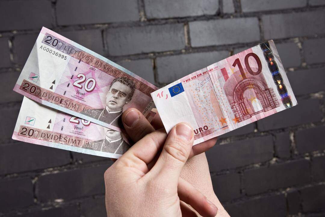Euro įvedimui silpniausiai pasiruošę net trys sektoriai
