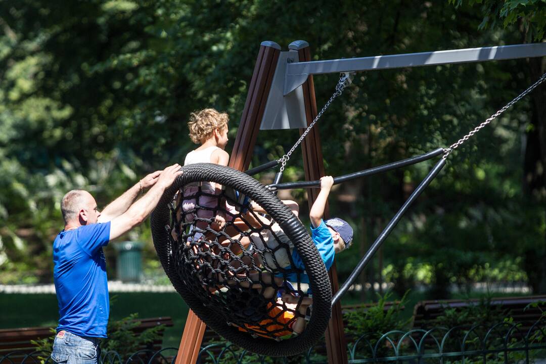 Politikai toliau suka galvas dėl šeimos apibrėžimo