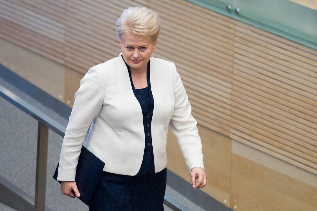 D. Grybauskaitė vyksta į ES lyderių susitikimą