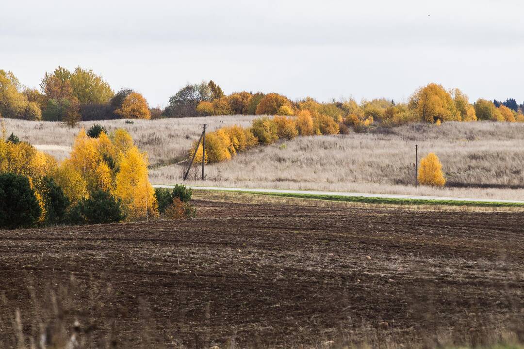 Kaimo reikalų komitetas atsisako žemės pardavimo kainos „lubų“ idėjos