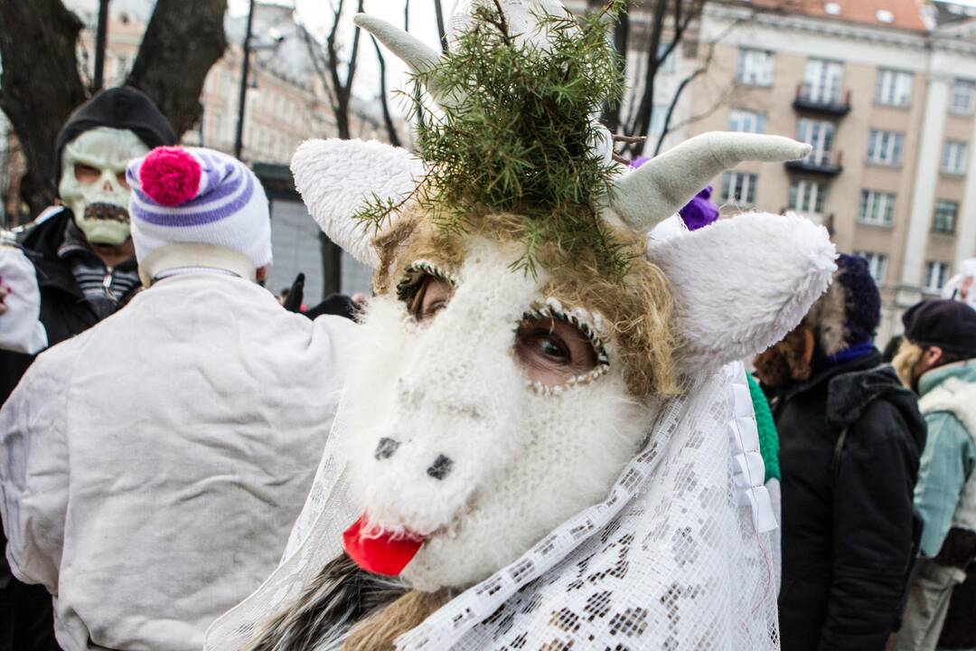 Mokytojų namų kiemelyje – Užgavėnių šėlsmas