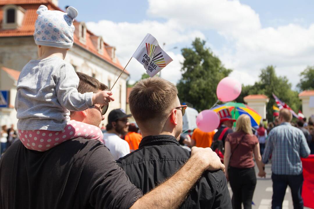 Seimo vadovė: nutekinto Partnerystės įstatymo turinys iš esmės neturėtų keistis