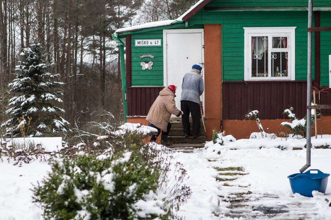 Savaitgalio orai: lis, paskui šals