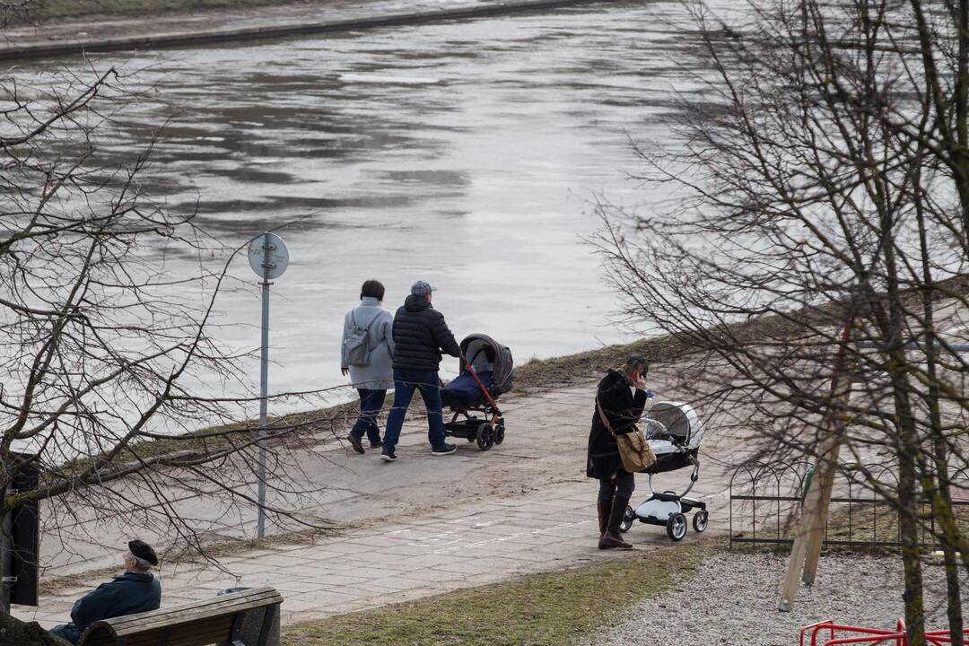 Kūrybiškumo mokytojo iš Švedijos idėja – tėvai turėtų dirbti mažiau