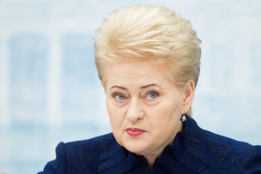 D. Grybauskaitė: Baltijos šalių saugumą padėjo garantuoti ir Rusijos veiksmai