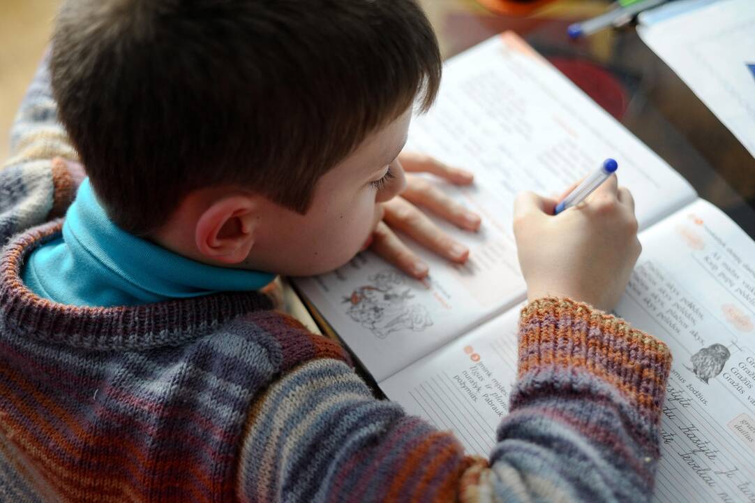 Žengtas pirmas žingsnis įteisinti privalomą priešmokyklinį ugdymą