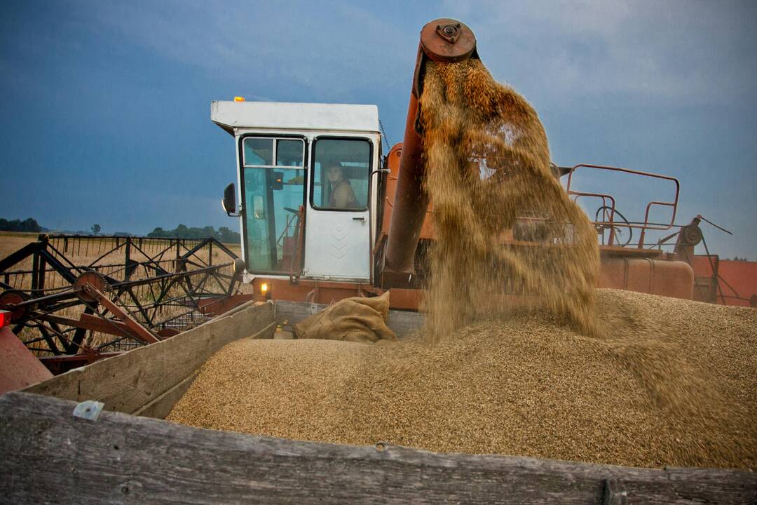 „Linas Agro Group“ iš didžiausiųjų Europos įmonių sąrašo dugno pakilo į viduriuką