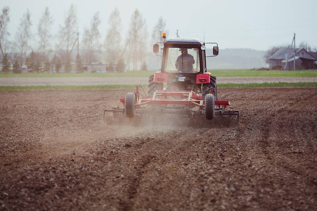 Sprendimo dėl žemės pardavimo saugiklių – vėl nėra