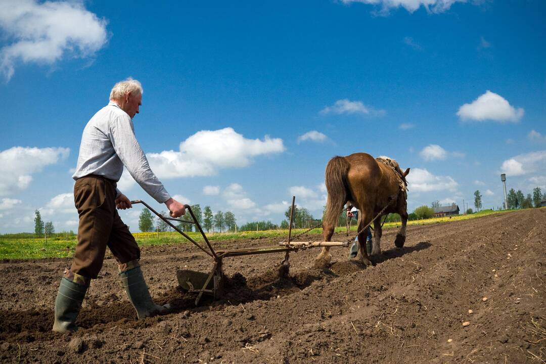 Ariamoji žemė užima pusę Lietuvos teritorijos