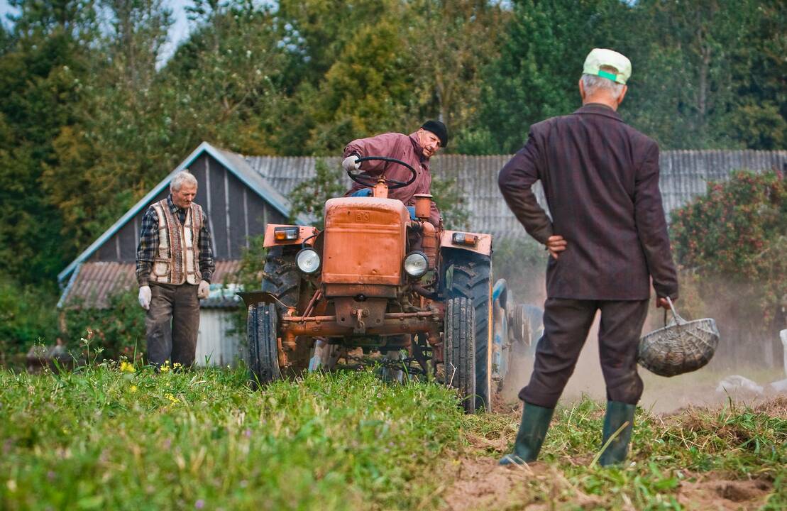 Eurostatas: kaimuose gyvenančių žmonių dalis Lietuvoje – viena didžiausių