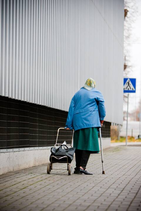 Būsimi pensininkai, gelbėkitės!