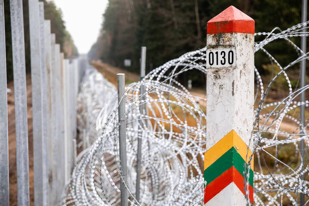 Seimas nepritarė pataisoms, griežtinančioms atsakomybę už nelegalios migracijos organizavimą