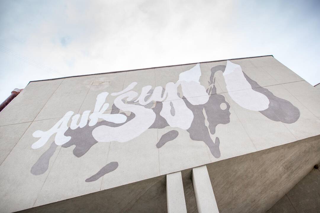 Konstitucijos prospektą papuošė grafičiai