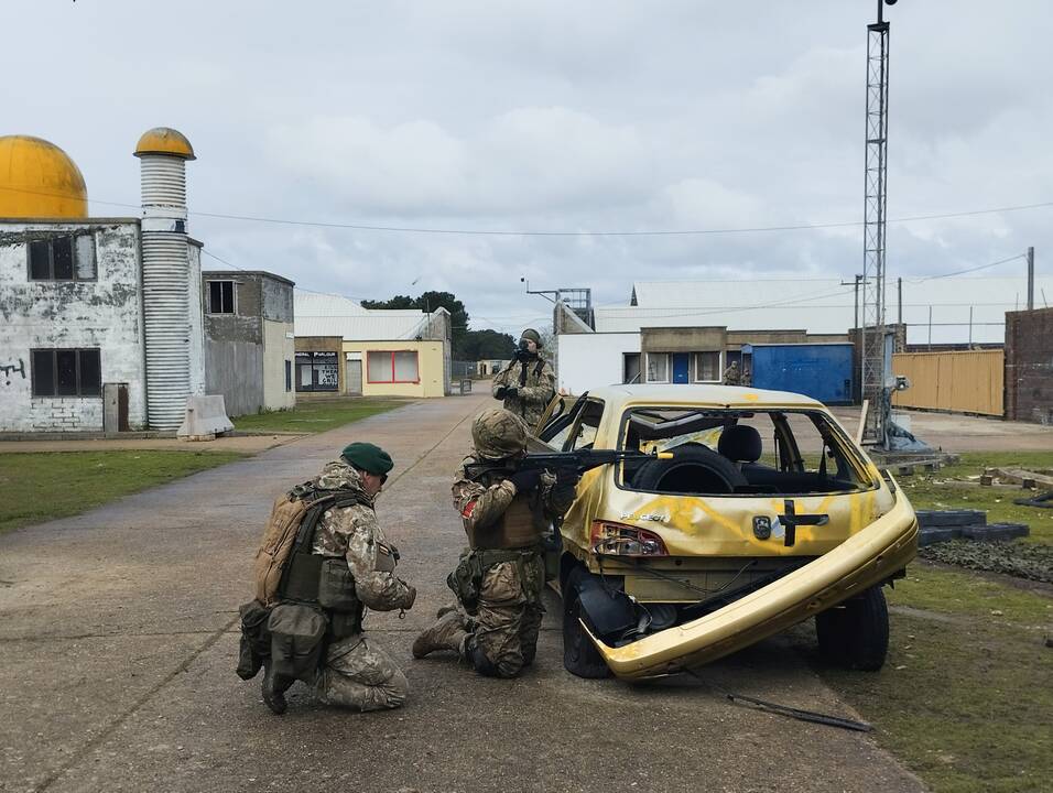 Lietuva apie 40 instruktorių į Vokietiją mokyti ukrainiečių karių siųs balandį