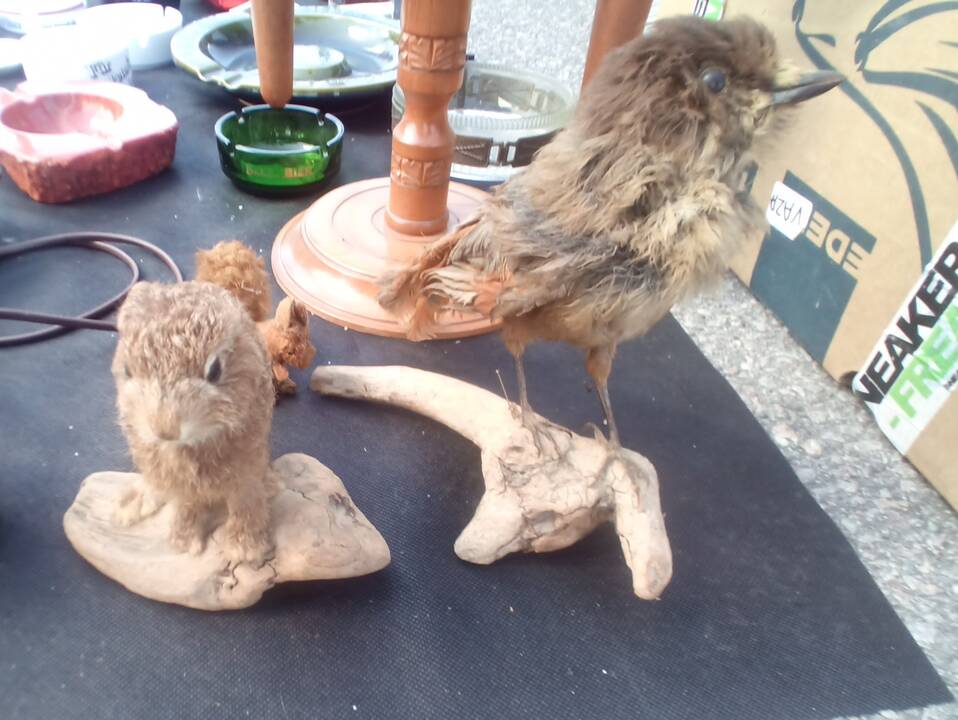 Šeštadienį Klaipėdoje – mugės, miestiečių žygiai, bėgimas