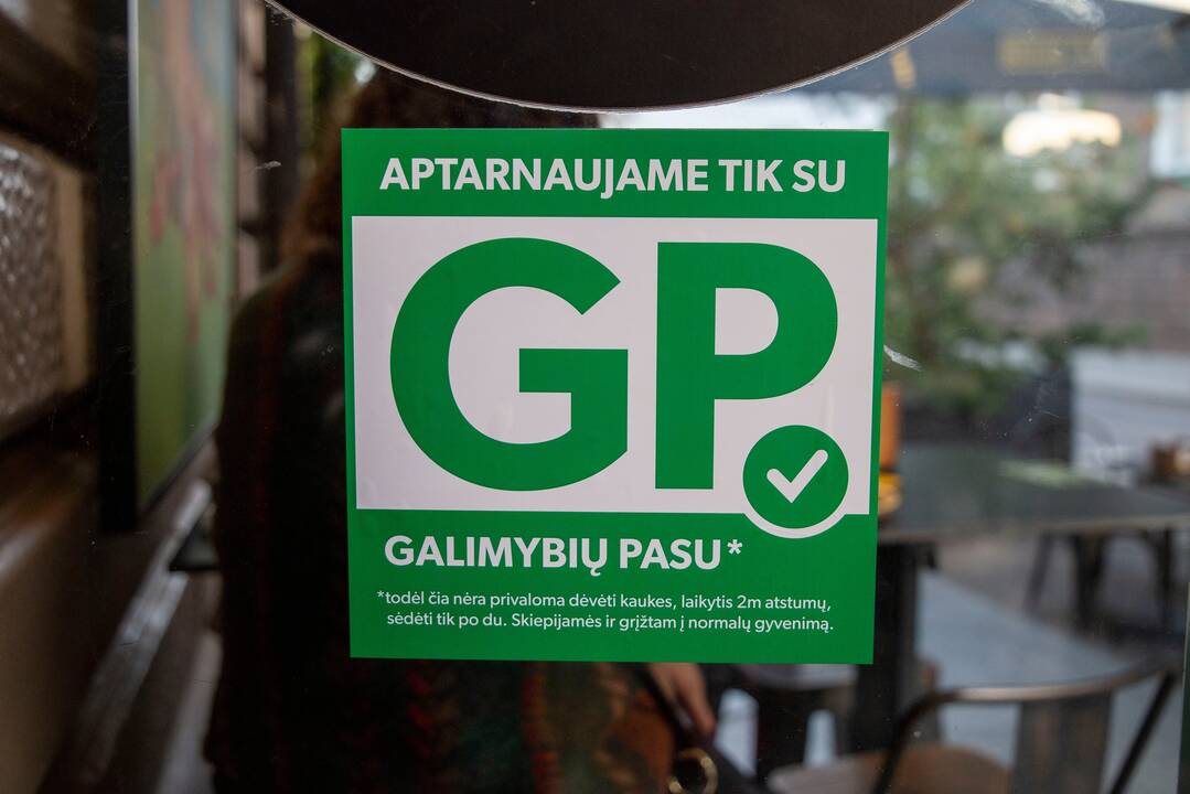 KT vertins, ar nutarimas dėl galimybių paso neprieštarauja Konstitucijai