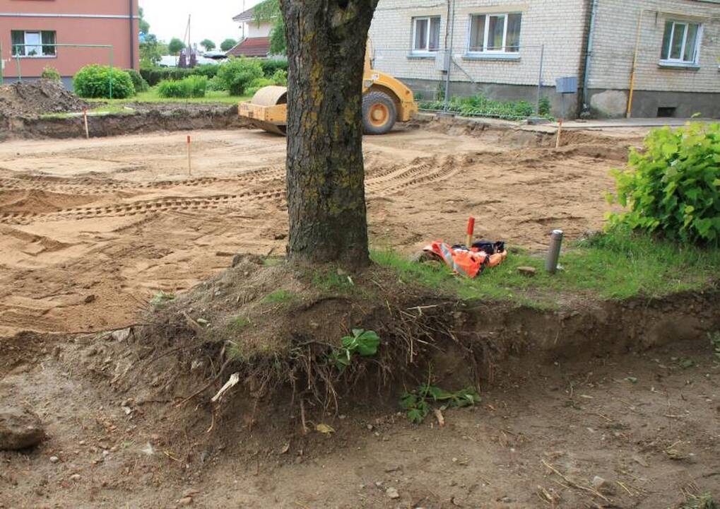 Už sužalotus medžius teks pakloti tūkstantinę sumą