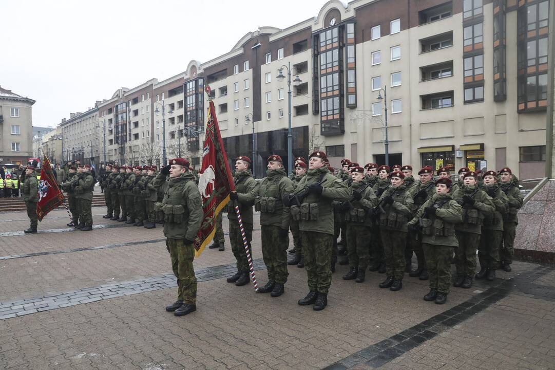 Iškilminga karių savanorių rikiuotė