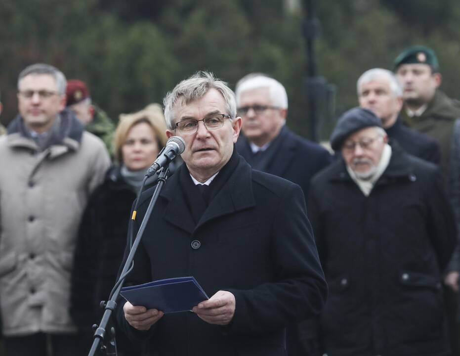 Iškilminga karių savanorių rikiuotė
