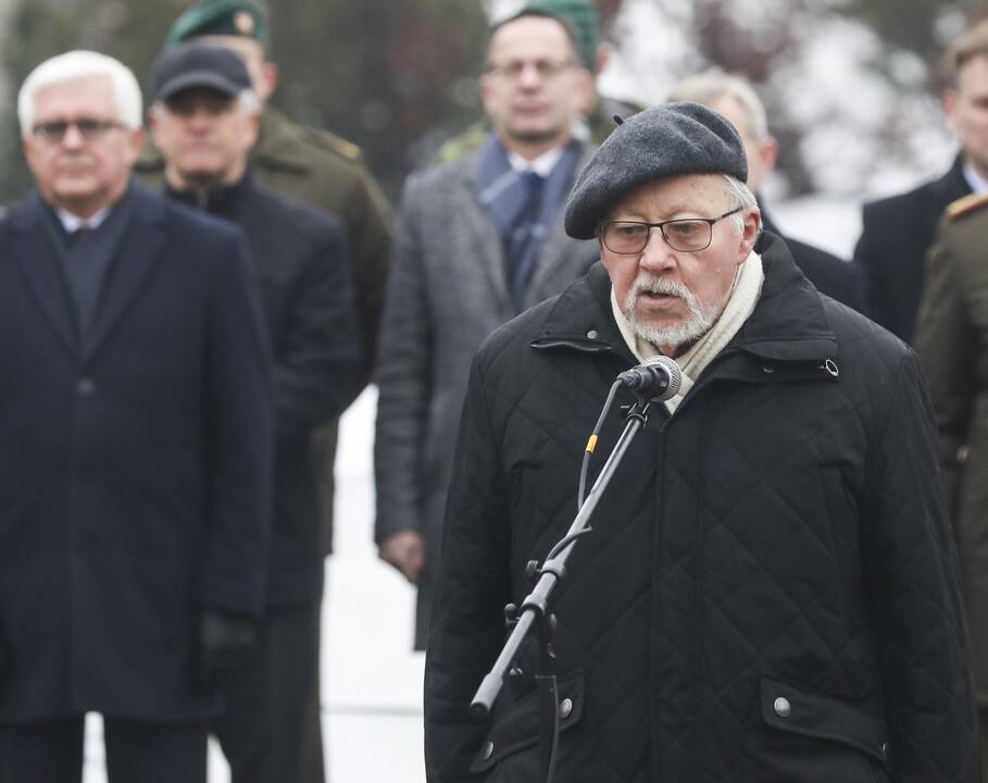 Iškilminga karių savanorių rikiuotė