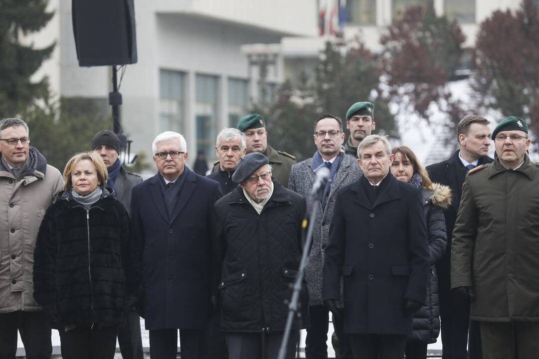 Iškilminga karių savanorių rikiuotė