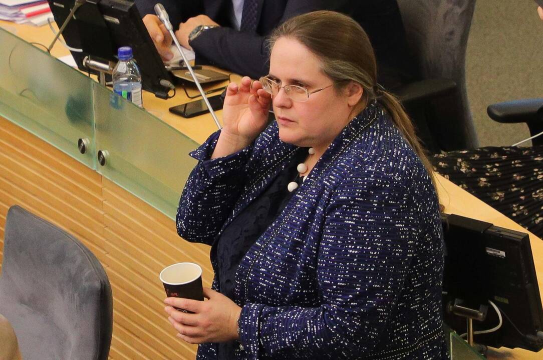Seimas pritarė A. Širinskienės siūlymams dėl pokyčių VAD