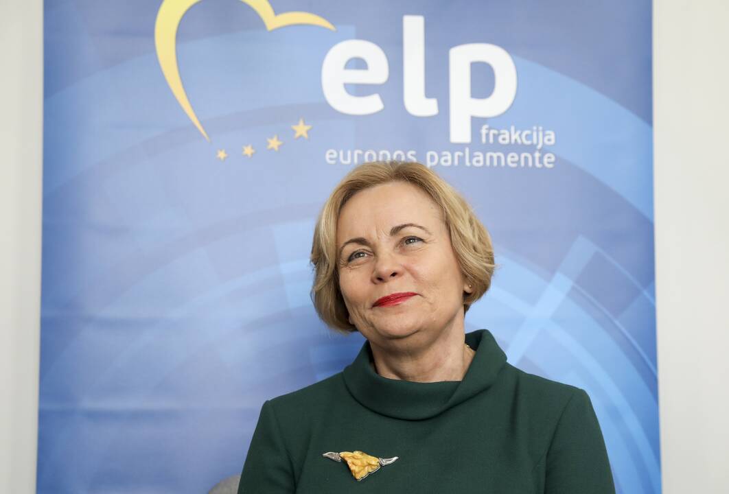 R. Juknevičienė perrinkta Saugumo ir gynybos pakomitečio vicepirmininke