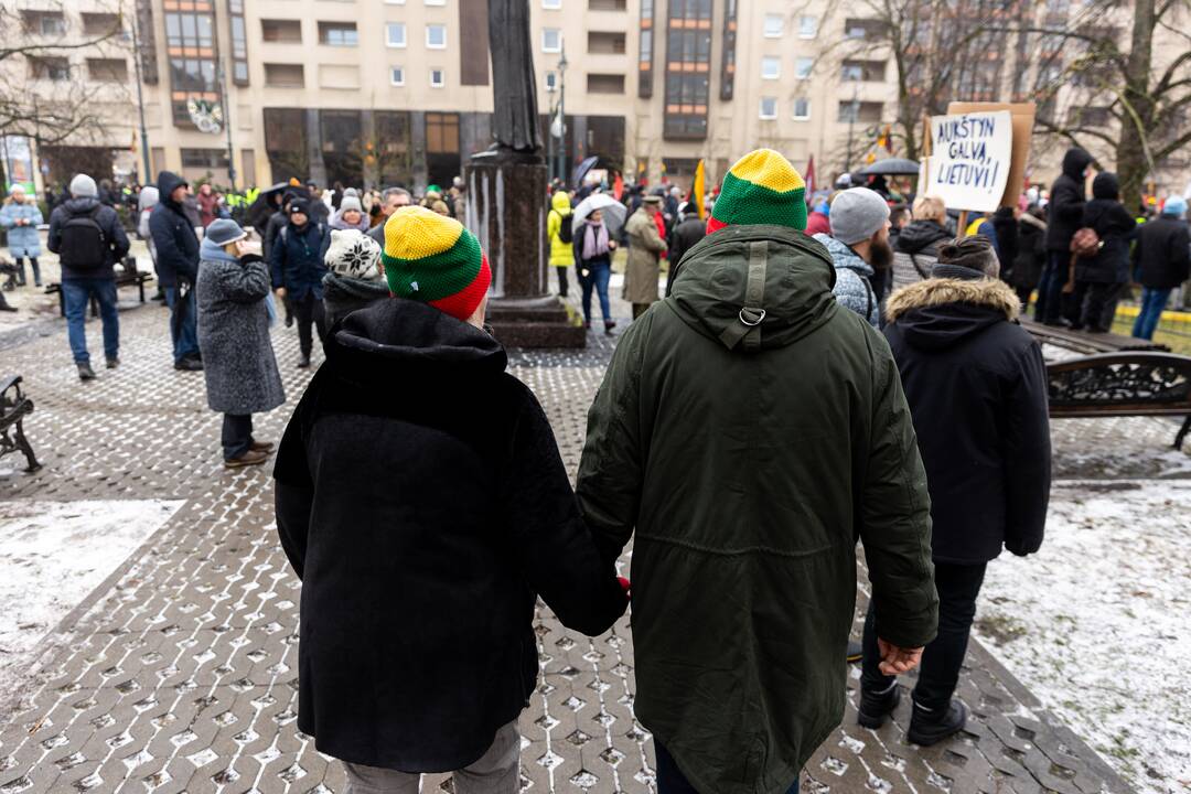 Protestas prie Seimo Sausio 13-ąją