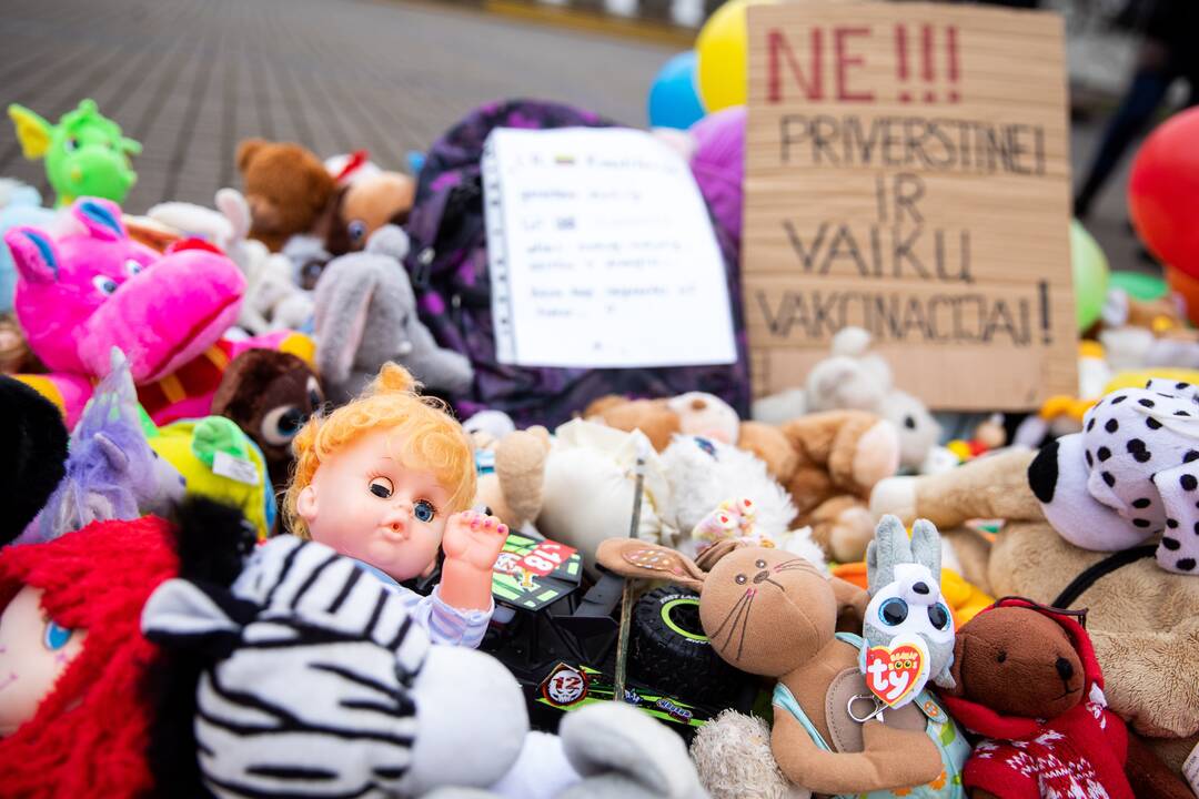 Protestas prieš galimybių pasą vaikams prie Prezidentūros