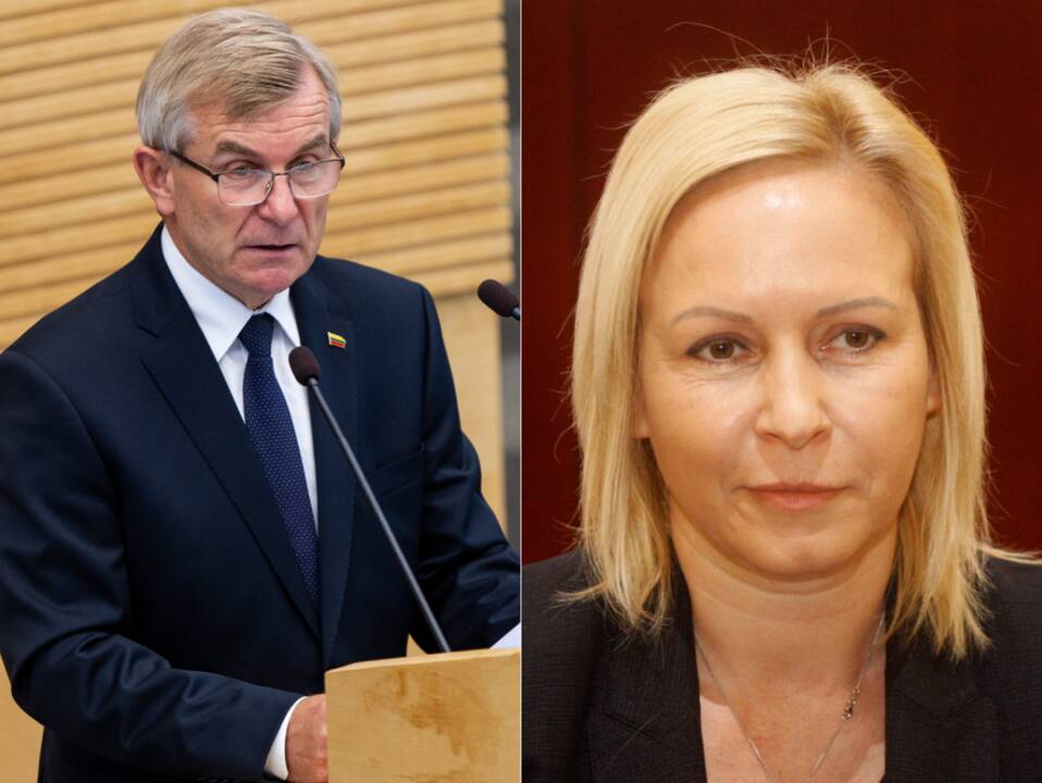 Naujai kadencijai Seimo kanclere V. Pranckietis siūlo skirti D. Raudonienę