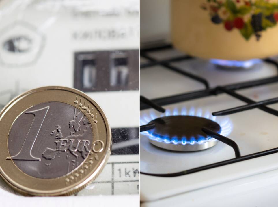 Seimas patvirtino elektros ir dujų kainų kompensavimo planą
