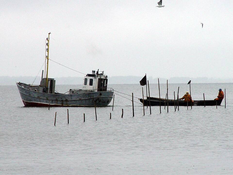 Startavo lašišų žūklės sezonas