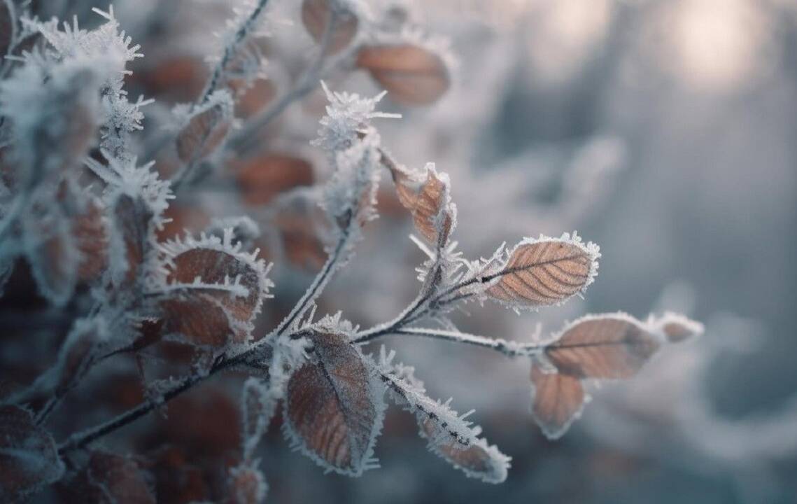 Astrologinė prognozė lapkričio 27–gruodžio 3 d.