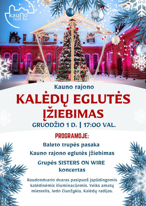 Gražėja: taip pagrindinė Kauno rajono Kalėdų eglė atrodė ketvirtadienio vidurdienį.