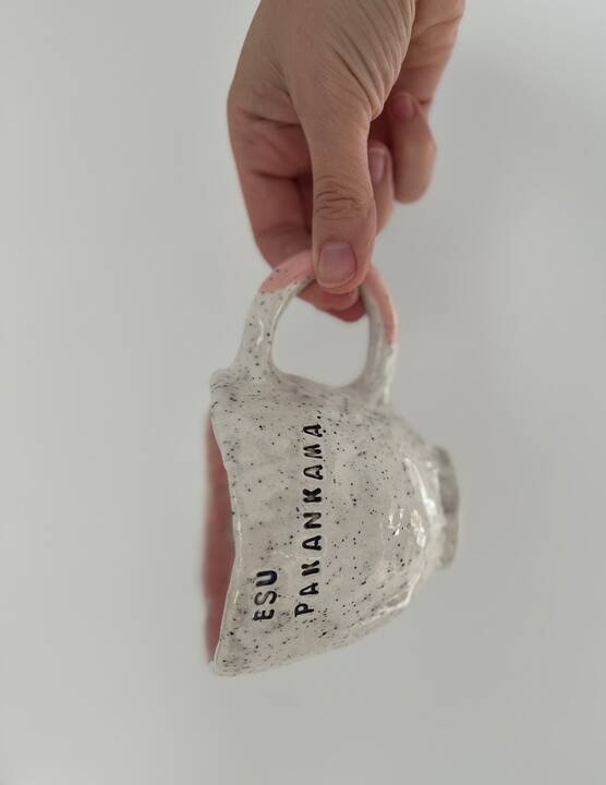 Tikslas: V. Aug­lie­nė no­ri, kad jos kur­ti in­dai vi­sų pir­ma do­va­no­tų jaus­mą.